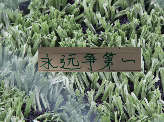 hth-青岛海牛会战胜北京国安吗|上海海港|中超|上海申花|上海申花足球俱乐部|中超联赛_新浪体育_新浪新闻